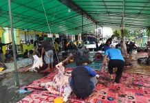Disbunnak Sanggau Lakukan Post Mortem Hewan Kurban Iduladha 2026