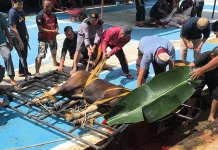 Kapolres Sanggau Dorong Semangat Berbagi saat Iduladha