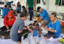 Pemotongan Kurban Masjid Agung Sanggau Sasar 700 Warga