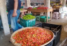 Harga Cabai Pasar Jarai Sanggau Tembus Seratus Ribu