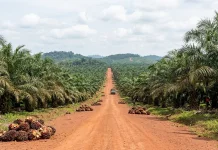 Hilirisasi Sawit Buka Peluang Kerja dan Tingkatkan Kesejahteraan Petani