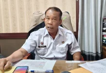 Dinkes Sanggau Catat Demam Infeksi Dengue Capai 40 Kasus