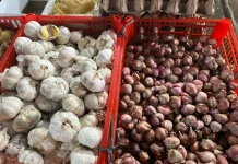Harga Bawang Merah di Sanggau Naik
