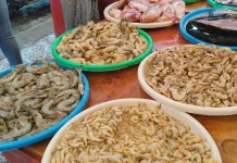 Harga Udang di Pasar Sentral Sanggau Naik akibat Pasokan Berkurang
