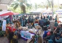 Bupati Sanggau Minta TP PKK Perkuat Sinergi dan Kinerja