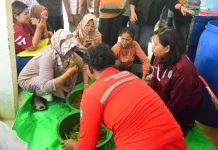 Inovasi Pupuk Organik Ubah Limbah Jadi Berkah Berkelanjutan