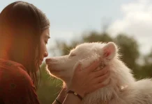 Film Thailand GOHAN (2026) Kisah Anjing Jalanan yang Menyentuh Hati
