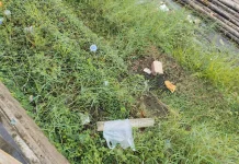 Car Free Day di Sanggau Minimalkan Sampah