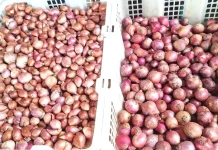 Harga Bawang Merah di Entikong Tembus Rp60 Ribu