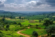 Sengketa Lahan Sanggau Masih Jadi Tantangan