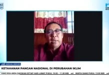 Petani Perbatasan Kabupaten Sanggau Harapkan Solusi Status Lahan