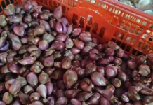 Pasokan Berkurang, Harga Bawang Merah di Sanggau Masih Tinggi