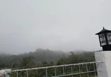 Tujuh Cara Menenangkan Pikiran saat Menikmati Kabut Pagi