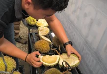 Polres Sanggau Dorong Hilirisasi Durian demi Kesejahteraan UMKM