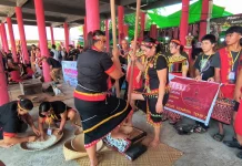 Lestarikan Tradisi, Gawai Dayak XXII Gelar Lomba Tumbuk Padi
