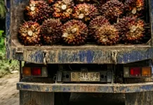 DPRD Sanggau Soroti Kendaraan Perusahaan Masih Berpelat Luar