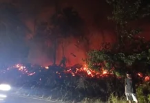 Kebakaran Lahan di Tanjakan Kimleng, Sudah Tiga Jam Api Belum Padam