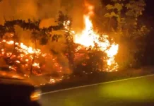 Karhutla di Tayan Hilir, Api Nyaris Masuk ke Jalan Nasional