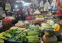 Kemarau Picu Lonjakan Harga Sayuran di Sanggau