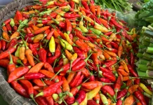 Pasokan Menurun, Harga Cabai di Sanggau Tembus 100 Ribu