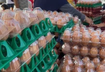 Disbunnak Kalbar Hadirkan Ribuan Telur Murah di Sanggau