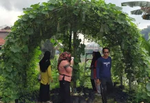 Kebun Pokdarwis Muara Kantu Sanggau Makin Diminati Warga