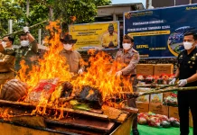 BKHIT Kalbar Musnahkan 66,75 Kilogram Komoditas Berisiko di Entikong