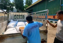 Polsek Noyan Pasok 800 Kilogram Jagung ke Bulog Sanggau