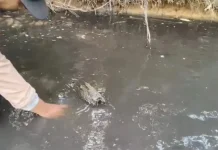 DLH Sanggau Selidiki Dugaan Limbah PT SBW Cemari Sungai