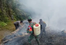 Respons Cepat Hotspot, TNI-Polri Tangani Karhutla di Tayan Hulu