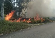Dipicu Puntung Rokok, Lahan di Sanggau Terbakar