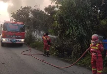 Lahan di Dokuk Terbakar Lagi, Diduga Ada yang Sengaja