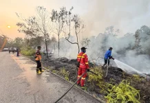 Jalan Dokuk Kembali Terbakar, Setengah Hektare Lahan Hangus