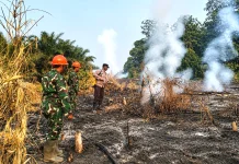 Dua Titik Panas Kembayan Padam, Polisi Cegah Api Meluas