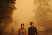 Kabut Asap Karhutla Berisiko Ganggu Kesehatan Otak