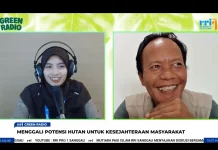 Tembawang dan Kekuatan Adat dalam Menjaga Hutan