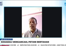 Petani Entikong Kesulitan Penuhi Kebutuhan Air Lahan Hortikultura