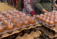 Disbunnak Kalbar Salurkan Lebih 40 Ton Telur ke Daerah