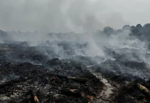 Forrest Programmer Sebut Kabut Asap di Kalbar karena Ulah Manusia