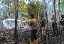 Karhutla Nyaris Membakar Satu Hektare Lahan di Jalan Trans Kalimantan