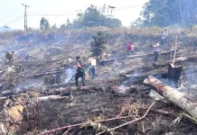 Karhutla di Noyan Berhasil Dipadamkan