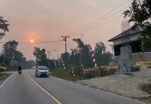 Tanggap Darurat Karhutla, BDR Sanggau Kembali Diperpanjang