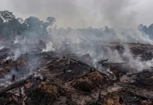 BPBD Ungkap Alasan Status Darurat Karhutla di Sanggau