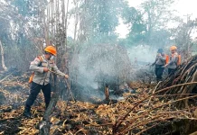 Karhutla di Sekayam Dipadamkan, Polisi Perkuat Pengawasan