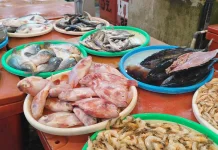 Musim Kemarau Tekan Penjualan Ikan di Pasar Sanggau