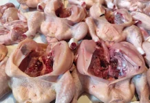 Ayam Beku Naik Harga, Minat Pembeli Menurun
