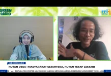 Jaga Hutan Hari Ini, agar Generasi Mendatang Tak Kehilangan Sumber Air
