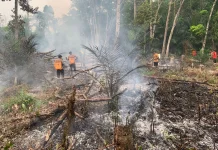 Puluhan Titik Karhutla di Sekayam Berhasil Dipadamkan