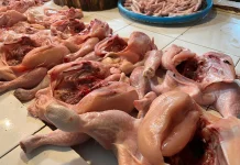 Kabut Asap dan Cuaca Pengaruhi Penjualan Ayam Potong di Sanggau