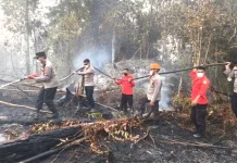 Tiga Titik Panas di Sekayam Diverifikasi, Api Berhasil Dipadamkan